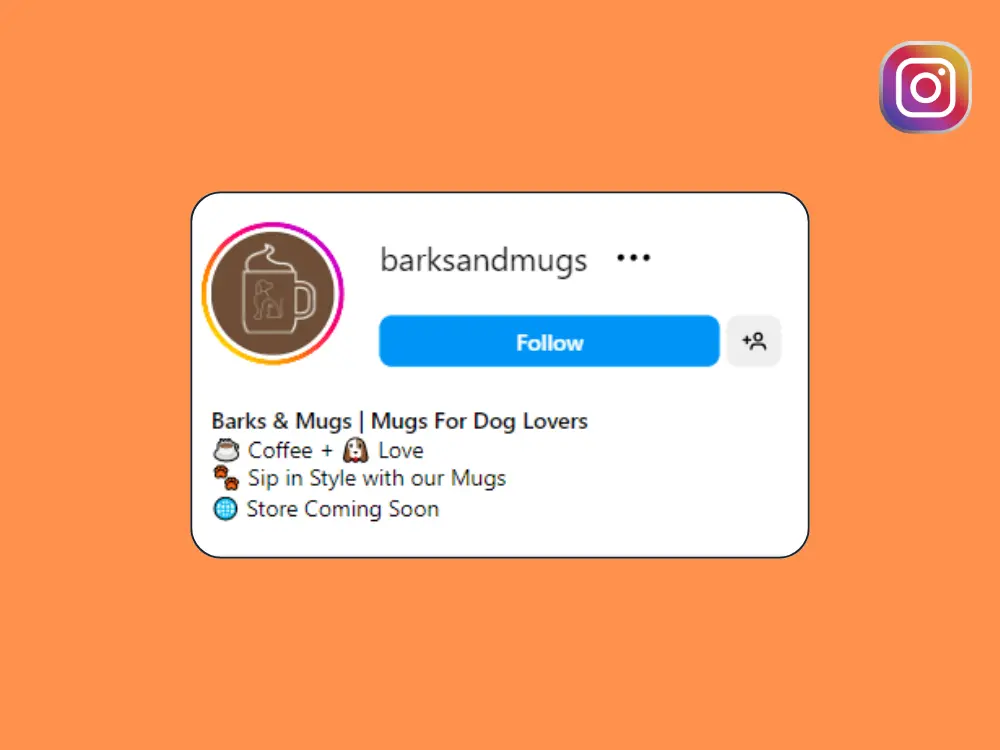 Instagram Profile Setup