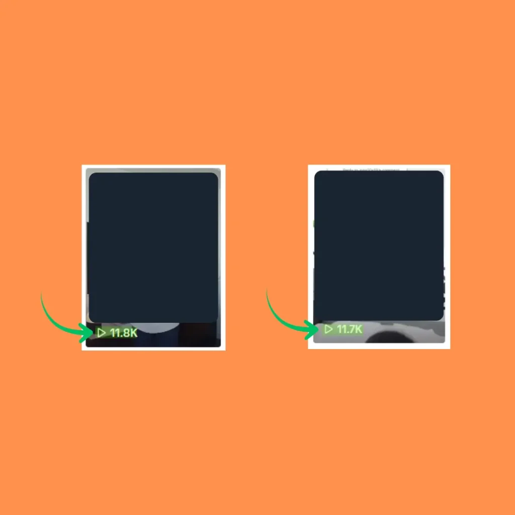 A Fashion Brand’s Organic TikTok Growth Case Study